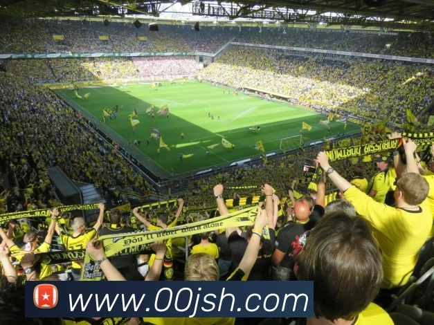 数据分析功能
